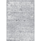 Amy Modern Persian Vintage Area Rug
