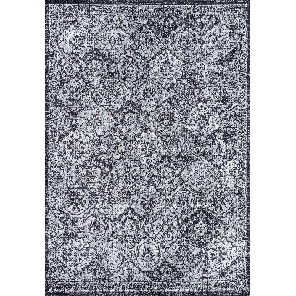 Austin Modern Persian Boho Vintage Area Rug