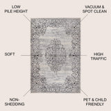 Delphinus Minori Filigree Medallion Area Rug