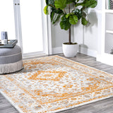 Boulia Indhira Ornate Medallion Persian Area Rug