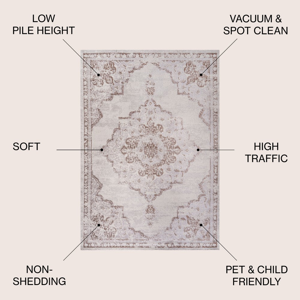 Danube Alhambra Ornate Medallion Modern Area Rug