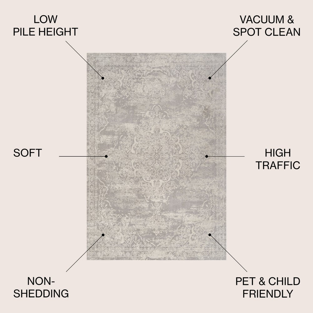 Danube Alhambra Ornate Medallion Modern Area Rug