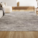Danube Alhambra Ornate Medallion Modern Area Rug