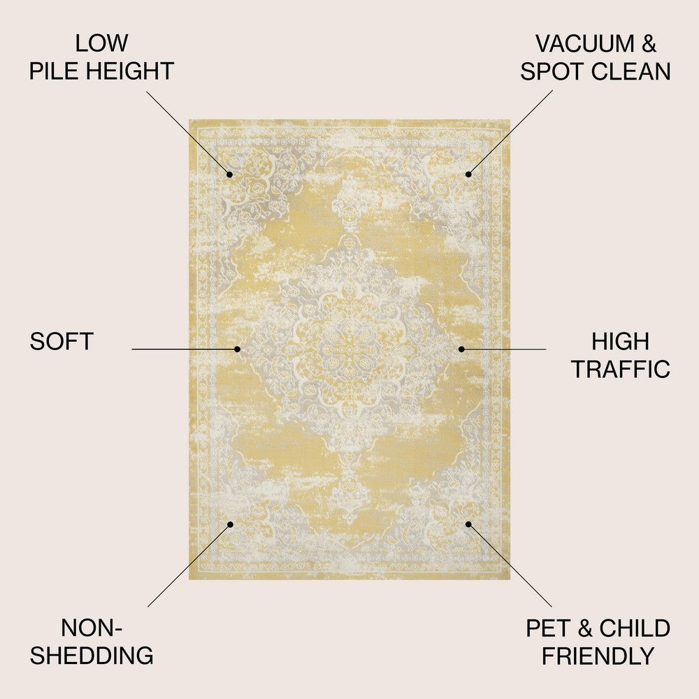 Danube Alhambra Ornate Medallion Modern Area Rug
