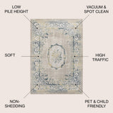 Amur Rosalia Cottage Medallion Area Rug