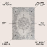 Face Cottage Medallion Area Rug