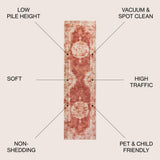 Face Cottage Medallion Area Rug