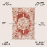 Face Cottage Medallion Area Rug