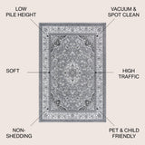 Gastre Palmette Modern Persian Floral Area Rug