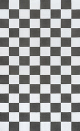 Wildterra Geometric Checker Foldable Waterproof Reversible Plastic Straw Area Rug
