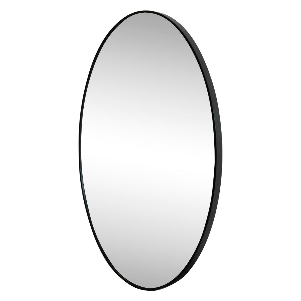 Sagegrove 24 in. W x 36 in. H Medium Oval Aluminum Alloy Framed Wall Mounted Mirror