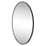 Sagegrove 24 in. W x 36 in. H Medium Oval Aluminum Alloy Framed Wall Mounted Mirror