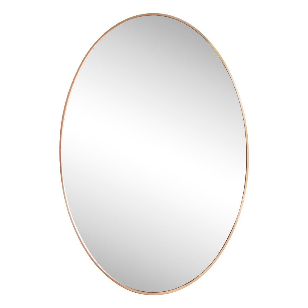 Sagegrove 24 in. W x 36 in. H Medium Oval Aluminum Alloy Framed Wall Mounted Mirror