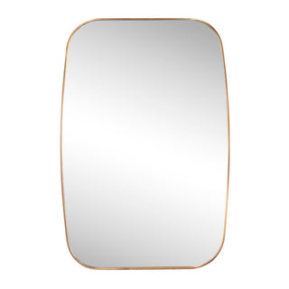 Petalroot 24 in. W x 36 in. H Medium Capsule Oblong Oval Aluminum Alloy Framed Wall Mounted Mirror