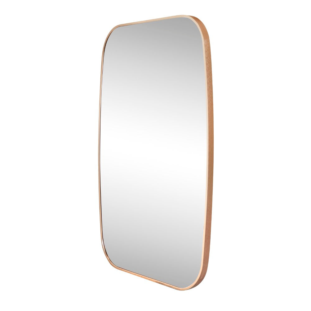 Petalroot 24 in. W x 36 in. H Medium Capsule Oblong Oval Aluminum Alloy Framed Wall Mounted Mirror
