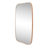 Petalroot 24 in. W x 36 in. H Medium Capsule Oblong Oval Aluminum Alloy Framed Wall Mounted Mirror