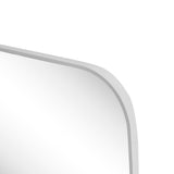 Petalroot 24 in. W x 36 in. H Medium Capsule Oblong Oval Aluminum Alloy Framed Wall Mounted Mirror