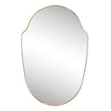Auralith 24 in. W x 36 in. H Medium Shield Aluminum Alloy Framed Wall Mounted Mirror