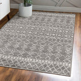 Denver Izil Moroccan Beni Souk Area Rug