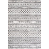 Chamaeleon Imlil Tribal Geometric Stripe Area Rug