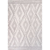 Palmerston Rih Moroccan Style Diamond Area Rug