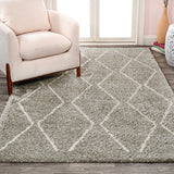 Hibiscus Catala Moroccan Diamond Shag Area Rug