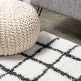 Upper Arenal Geometric Grid Shag Area Rug
