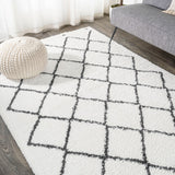 Whanganui Cami Moroccan Style Diamond Area Rug