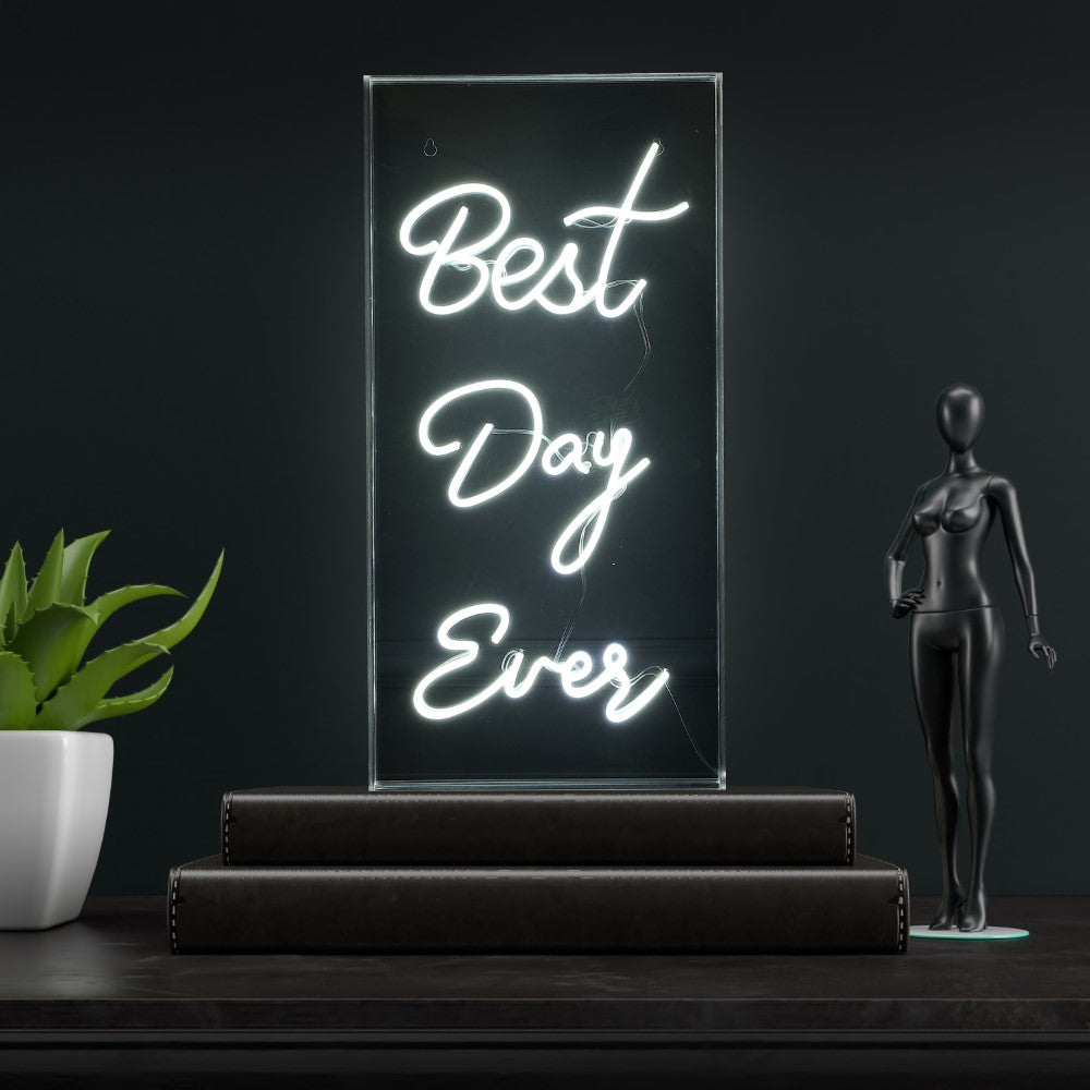 Unique Best Day Ever Contemporary Glam Acrylic Box USB Operated LED Neon Light