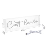 Art C'est La Vie Contemporary Glam Acrylic Box USB Operated LED Neon Light
