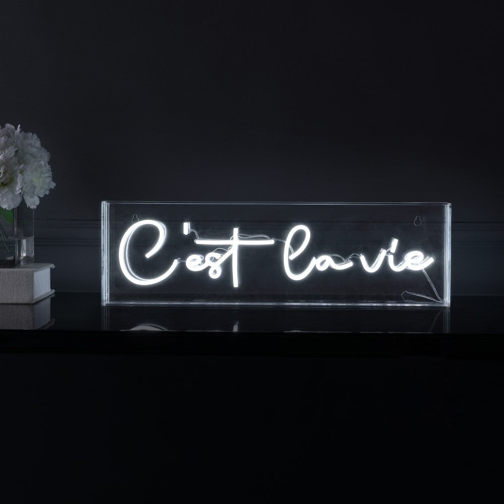 Art C'est La Vie Contemporary Glam Acrylic Box USB Operated LED Neon Light