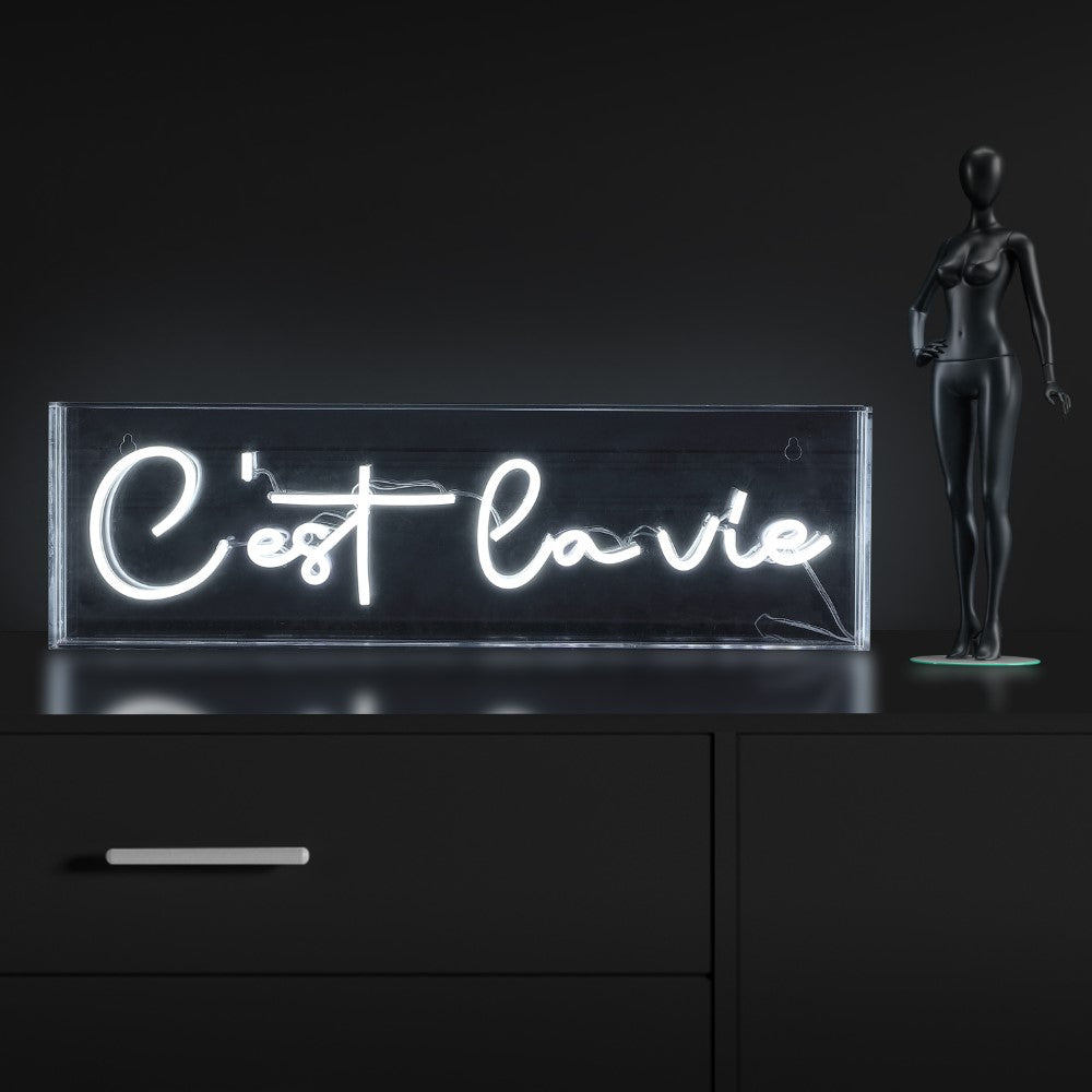 Art C'est La Vie Contemporary Glam Acrylic Box USB Operated LED Neon Light
