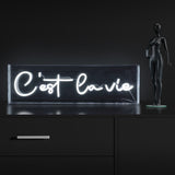Art C'est La Vie Contemporary Glam Acrylic Box USB Operated LED Neon Light