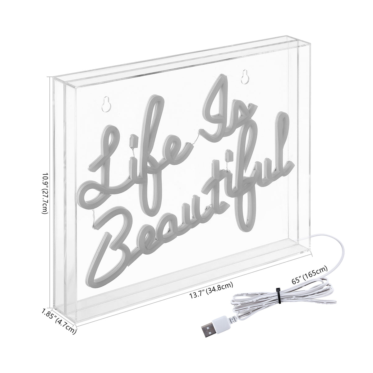 Party Life is Beautiful Contemporary Glam Acrylic Box USB Operated LED Neon Light