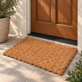 Pinal Coastal Farmhouse Handwoven Lattice Coir Mat
