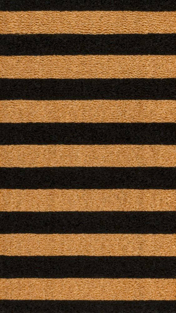 Infinite Modern Coastal Striped Coir Area Rug