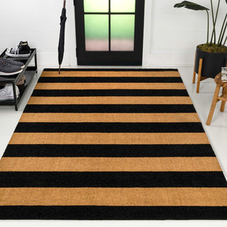 Infinite Modern Coastal Striped Coir Area Rug