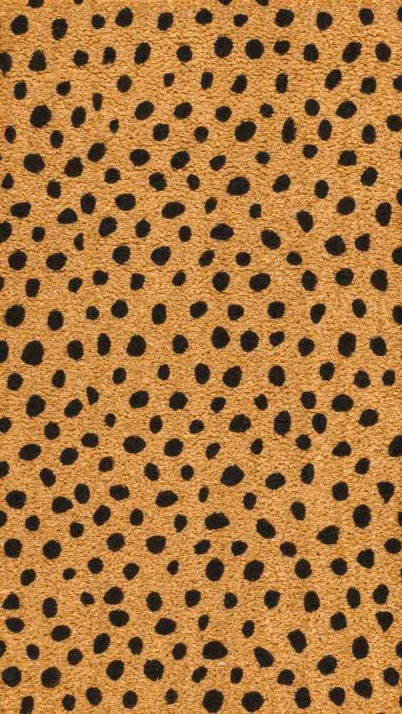 Liora Modern Classic Animal-spot Bordered Coir Area Rug