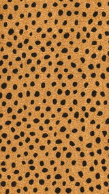 Liora Modern Classic Animal-spot Bordered Coir Area Rug