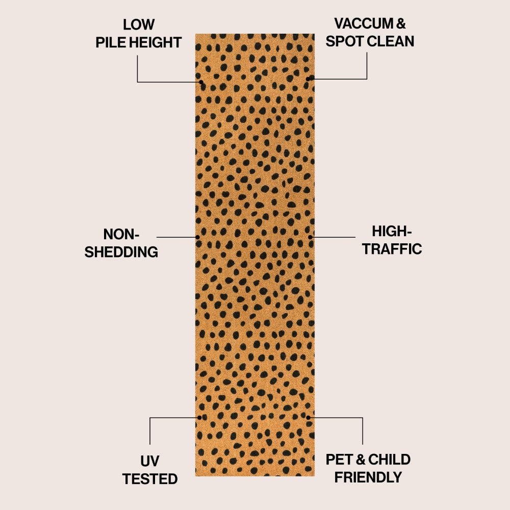 Liora Modern Classic Animal-spot Bordered Coir Area Rug