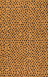 Liora Modern Classic Animal-spot Bordered Coir Area Rug