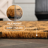 Liora Modern Classic Animal-spot Bordered Coir Area Rug