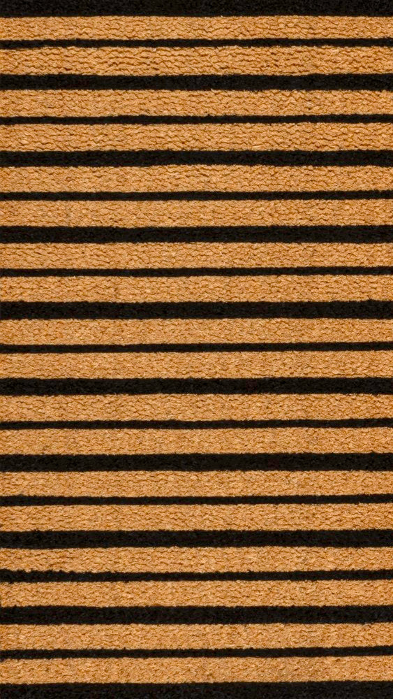 Arlina Modern Classic Ticking Stripe Coir Area Rug
