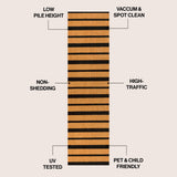 Arlina Modern Classic Ticking Stripe Coir Area Rug