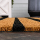 Arlina Modern Classic Ticking Stripe Coir Area Rug