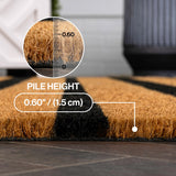 Arlina Modern Classic Ticking Stripe Coir Area Rug