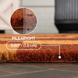 Winters Classic Farmhouse Checkered Coir Area Rug