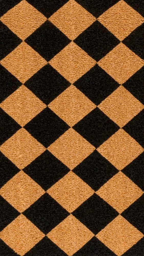 Drake Modern Classic Diamond-patterned Coir Area Rug