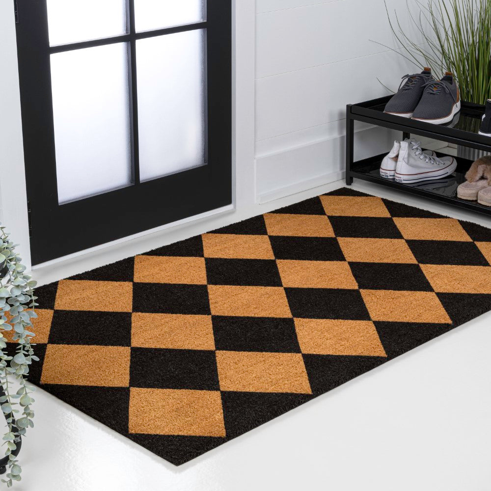 Drake Modern Classic Diamond-patterned Coir Area Rug