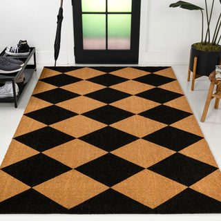 Drake Modern Classic Diamond-patterned Coir Area Rug